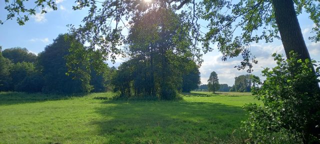 Działka rolna Kuskowizna. Zdjęcie 1