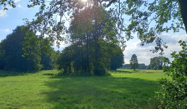 Działka rolna Kuskowizna