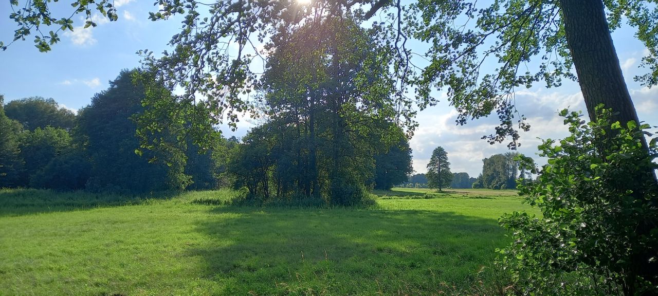 Działka rolna Kuskowizna