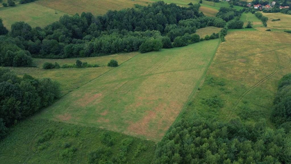 Działka rolna Górzanka. Zdjęcie 4