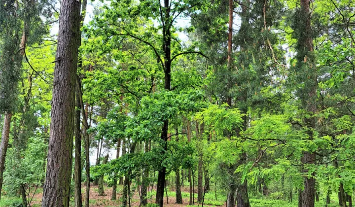 Działka rolna Grzebowilk