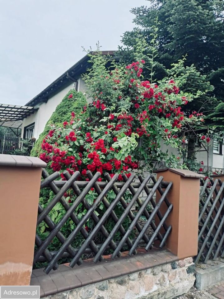 dom wolnostojący, 4 pokoje Bielsko. Zdjęcie 16