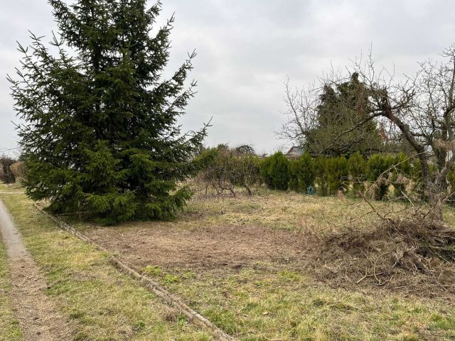 Działka rod Międzychód, ul. Napoleona Rutkowskiego. Zdjęcie 1