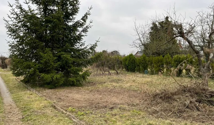 Działka rod Międzychód, ul. Napoleona Rutkowskiego