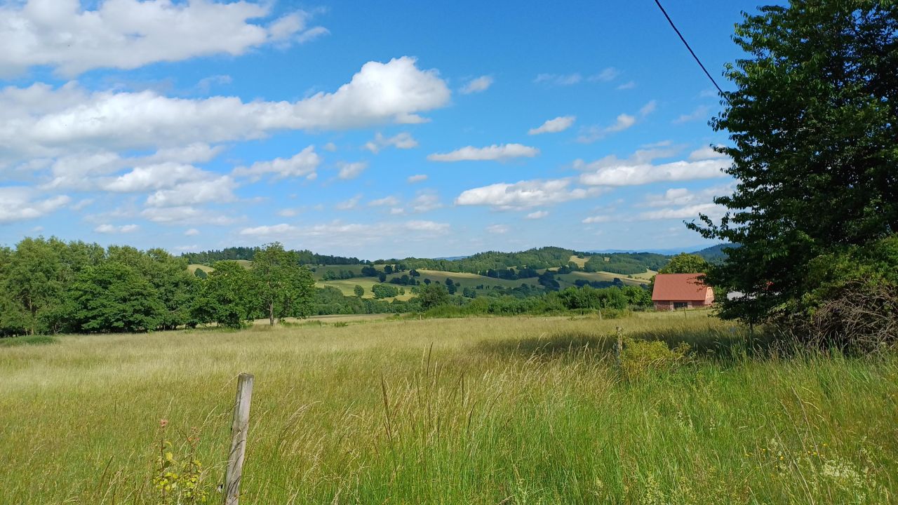 Działka rolna Krajanów. Zdjęcie 15