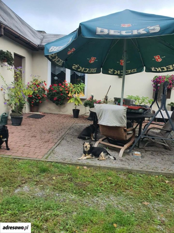 dom wolnostojący, 2 pokoje Lublin Zemborzyce, ul. Roślinna. Zdjęcie 3