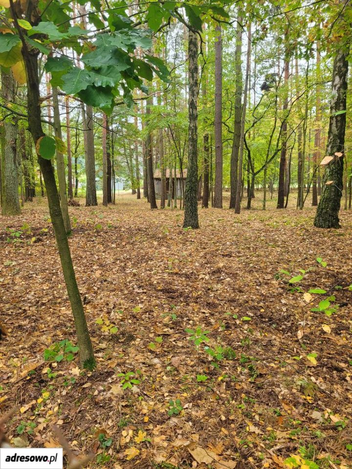 Działka budowlana Grotniki, ul. Ozorkowska. Zdjęcie 5