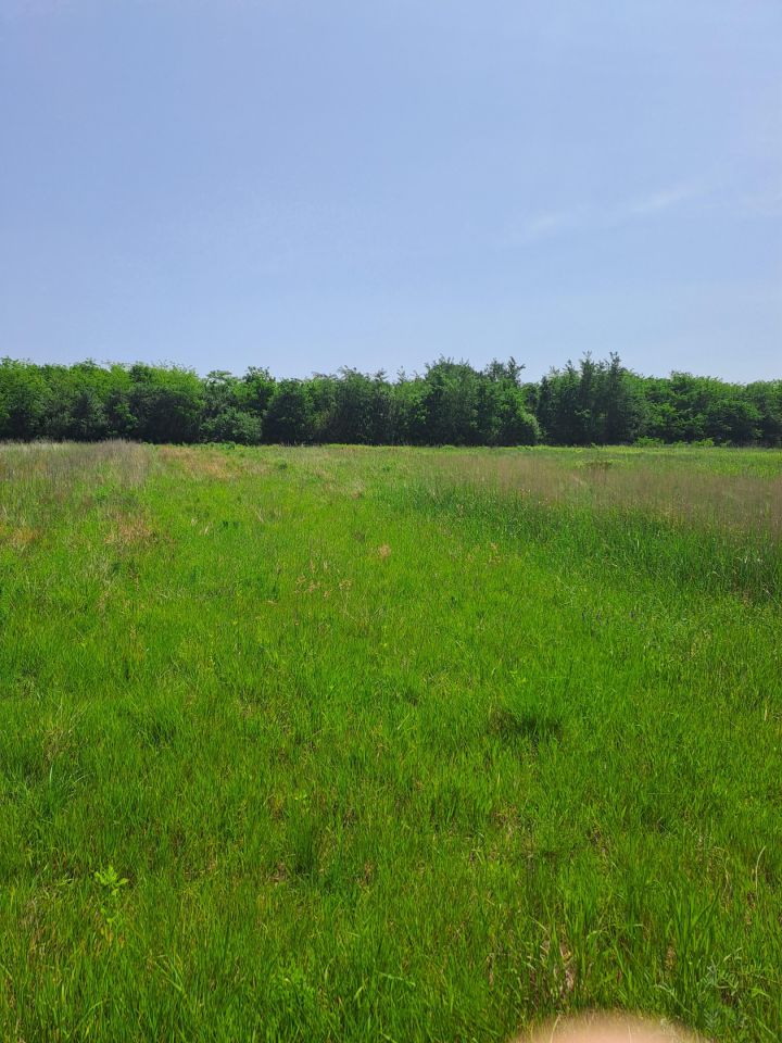 Działka budowlana Strożyska Przymiarki. Zdjęcie 7