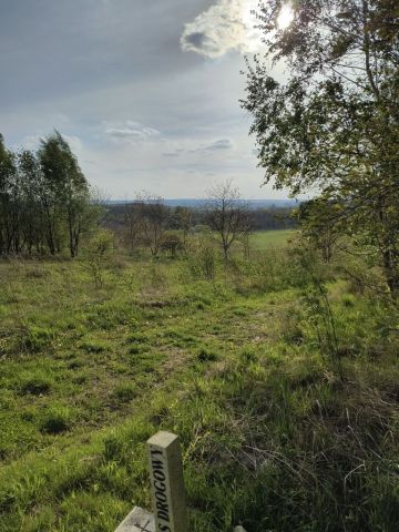 Działka rolna Kielanówka. Zdjęcie 1