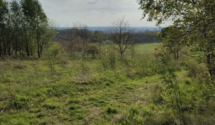 Działka rolna Kielanówka