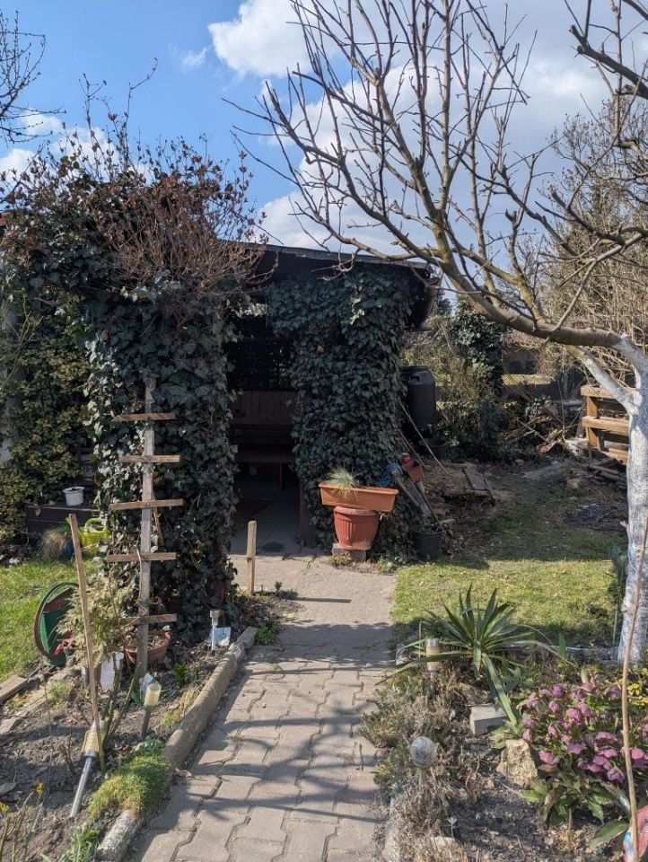 Działka rod Zabrze Mikulczyce, ul. Bytomskich Strzelców. Zdjęcie 2