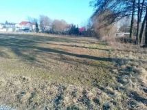 Działka budowlana Międzybórz. Zdjęcie 2