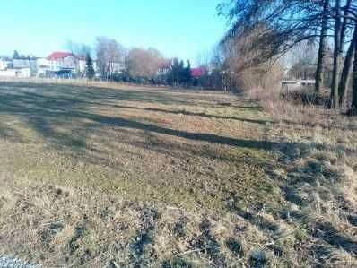 Działka budowlana Międzybórz. Zdjęcie 3