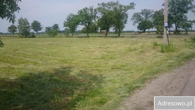 Działka siedliskowa Roztropna. Zdjęcie 4