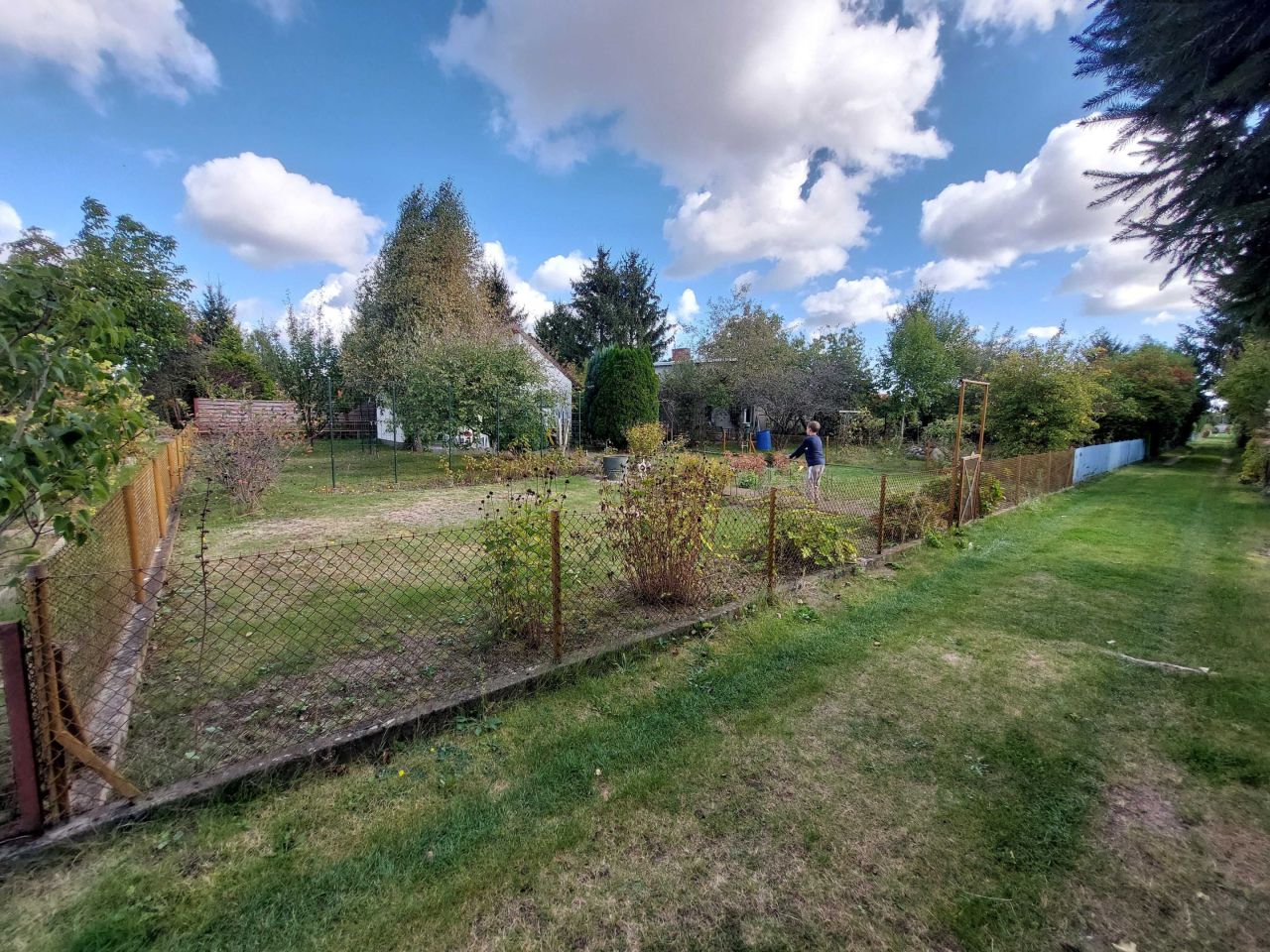 Działka rod Koninko, ul. Porzeczkowa. Zdjęcie 2