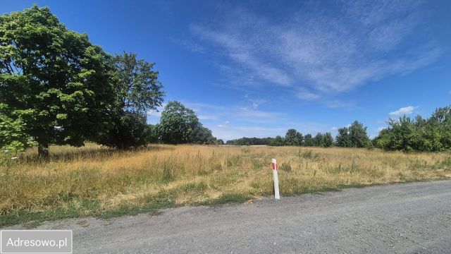 Działka inwestycyjna Myślibórz. Zdjęcie 1
