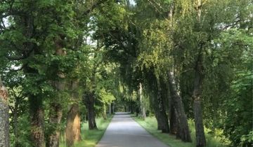 Działka budowlana Rydzewo