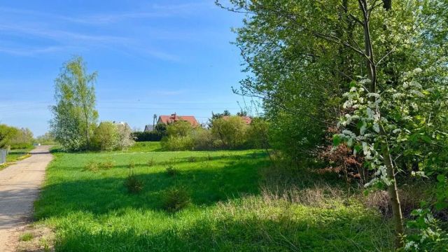 Działka budowlana Samborowo. Zdjęcie 1