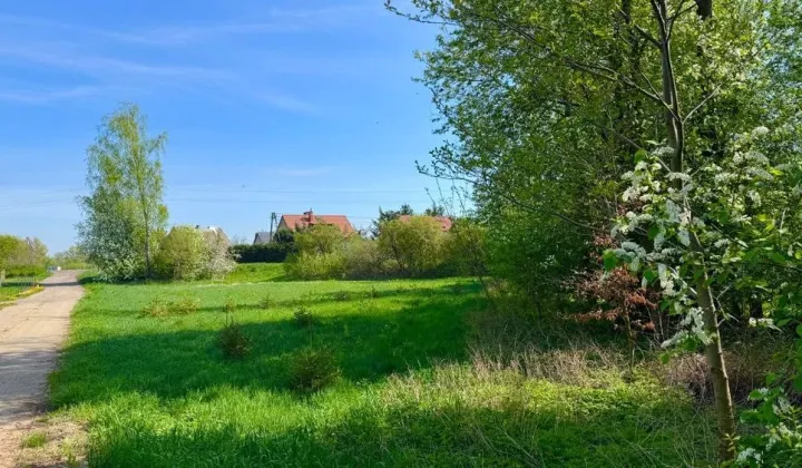 Działka budowlana Samborowo