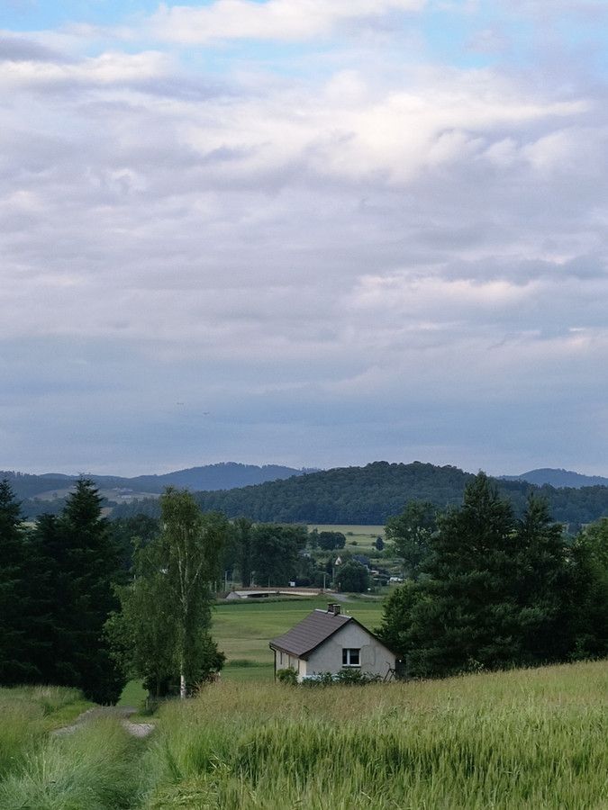 dom wolnostojący, 3 pokoje Ścinawka Dolna. Zdjęcie 7