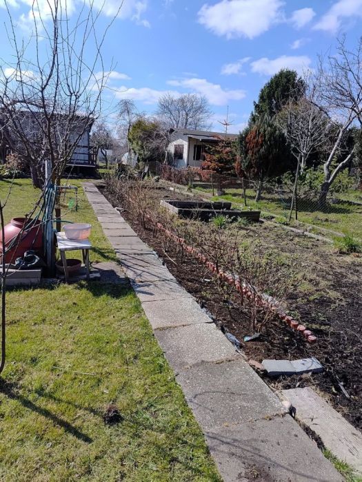 Działka rod Gdańsk Wrzeszcz, ul. Jana Kochanowskiego. Zdjęcie 3