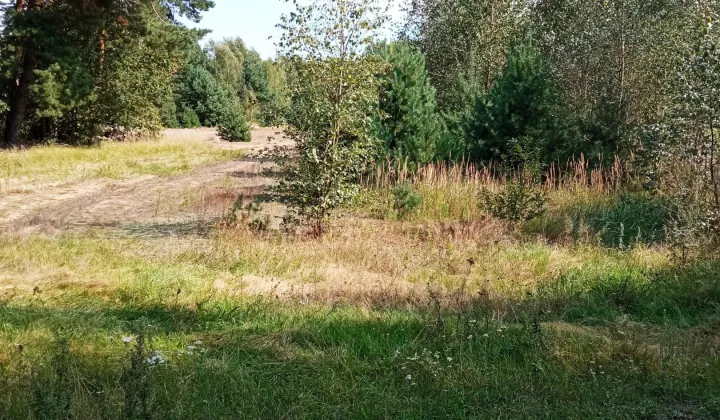 Działka budowlana Toporów, Xxxxxxxx