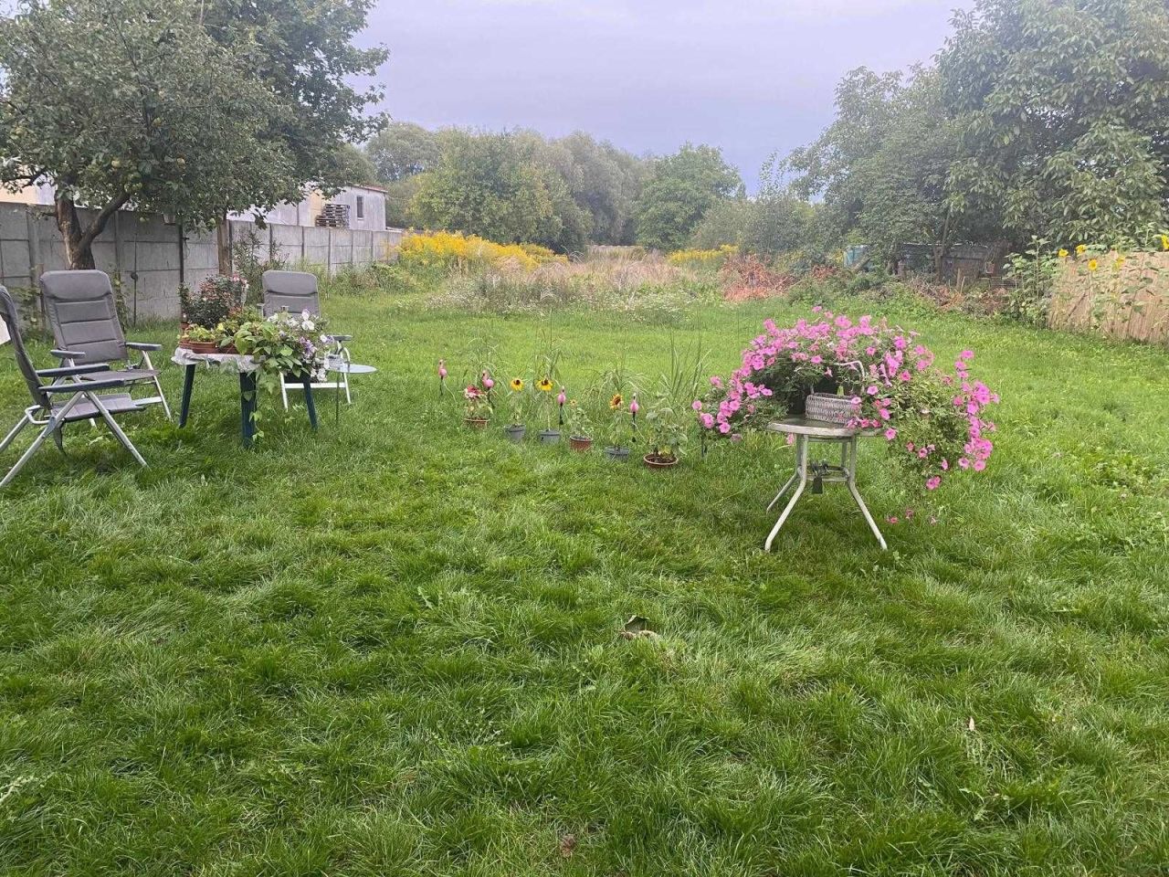 dom wolnostojący Palędzie. Zdjęcie 3