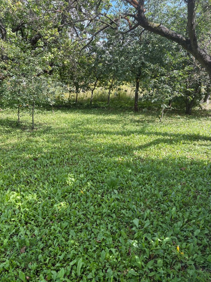 Działka rod Inowrocław Zarwane, ul. Prymasa Józefa Glempa. Zdjęcie 2