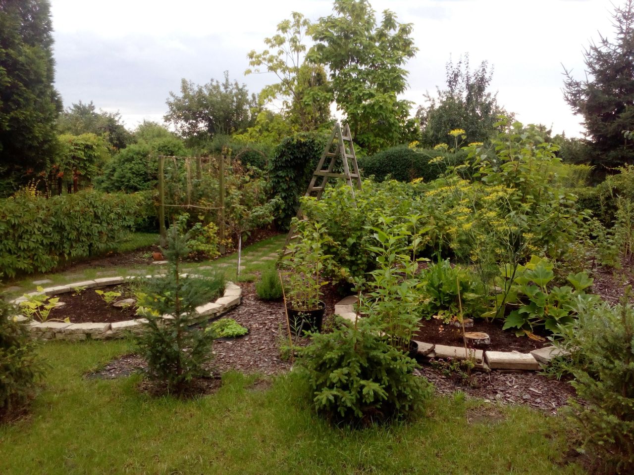 Działka rod Wrocław Ołbin, ul. Stefana Jaracza, Bolesława Prusa. Zdjęcie 4