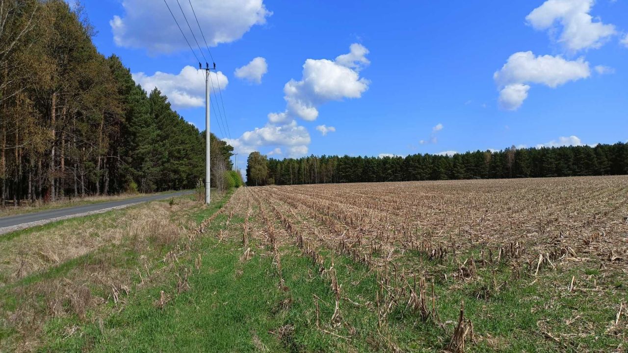 Działka rolna Tarnawa Krośnieńska. Zdjęcie 4