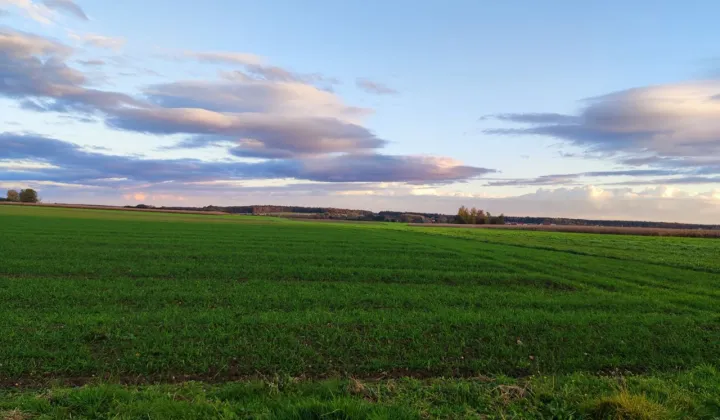 Działka budowlana Toszek, ul. Bajkowa