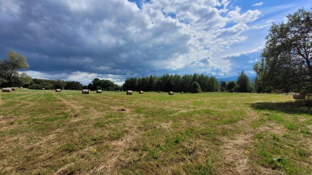 Działka rolno-budowlana Grudza. Zdjęcie 4