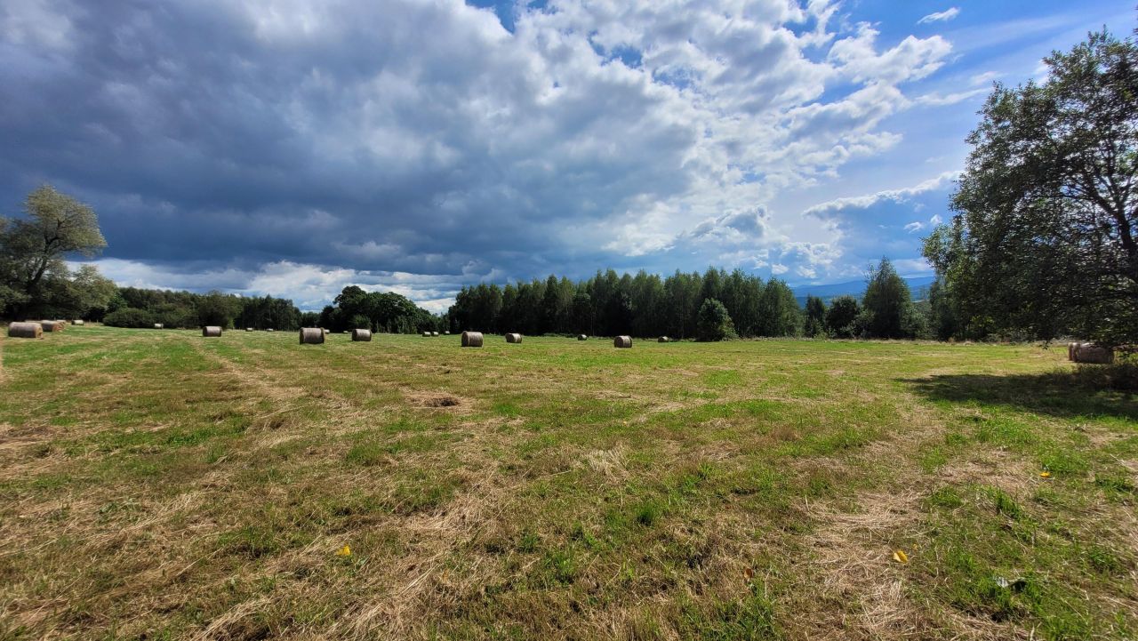 Działka rolno-budowlana Grudza. Zdjęcie 4