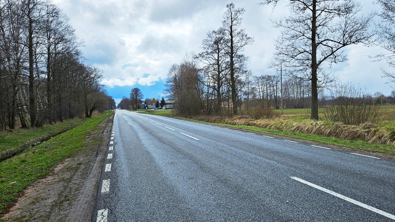 Działka inwestycyjna Borki. Zdjęcie 2