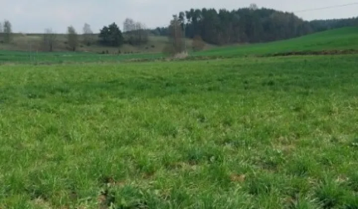 Działka budowlana Smołdzino, ul. Kartuska