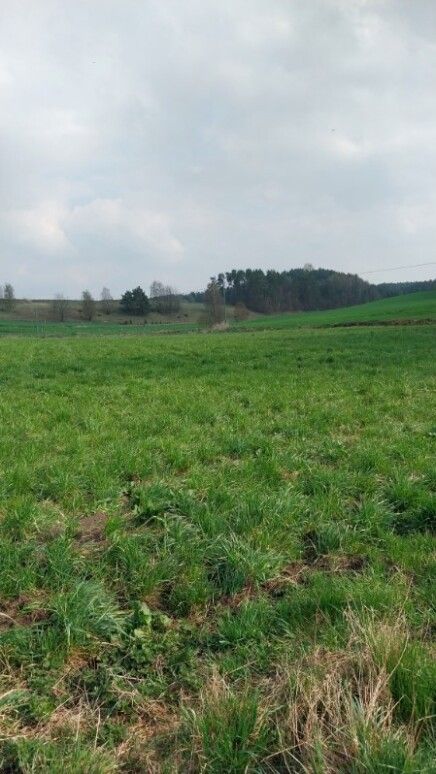 Działka budowlana Smołdzino, ul. Kartuska