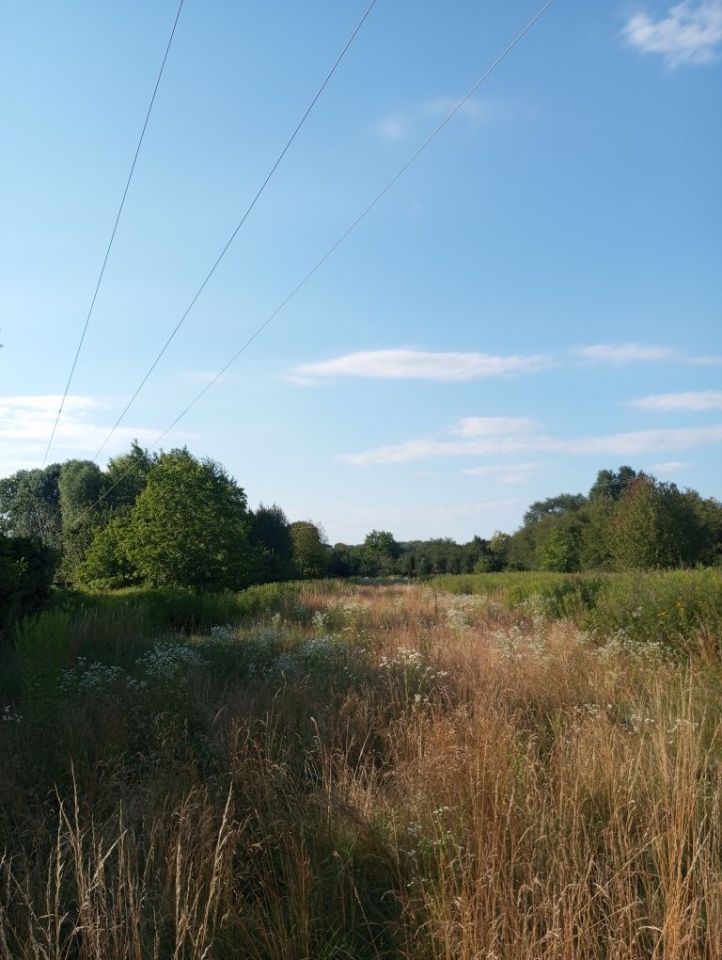 Działka rolna Puławy Włostowice, ul. Polskiej Organizacji Wojskowej. Zdjęcie 3