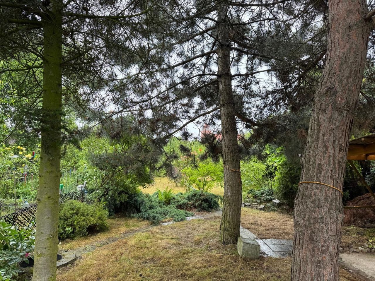 Działka rod Wrocław Krzyki. Zdjęcie 4