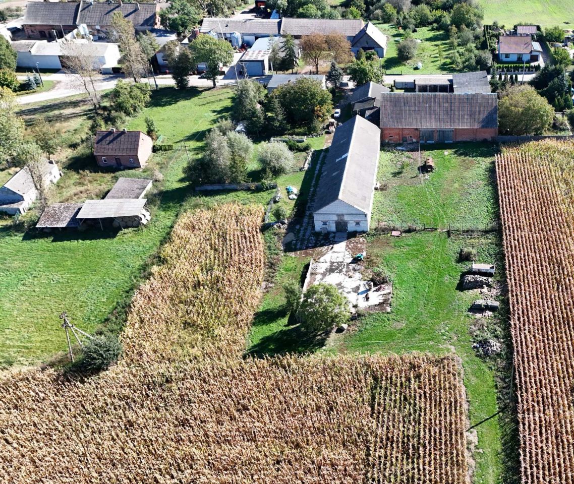 gospodarstwo Łopienno. Zdjęcie 6