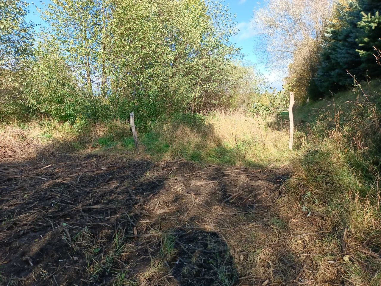 Działka rekreacyjna Łagów. Zdjęcie 8