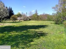 Działka rolna Rynarcice. Zdjęcie 3