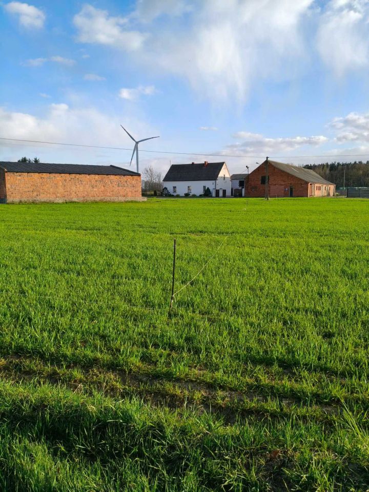 Działka budowlana Poladowo. Zdjęcie 8