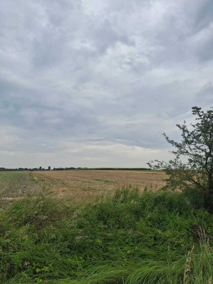 Działka rolna Mnichów. Zdjęcie 3
