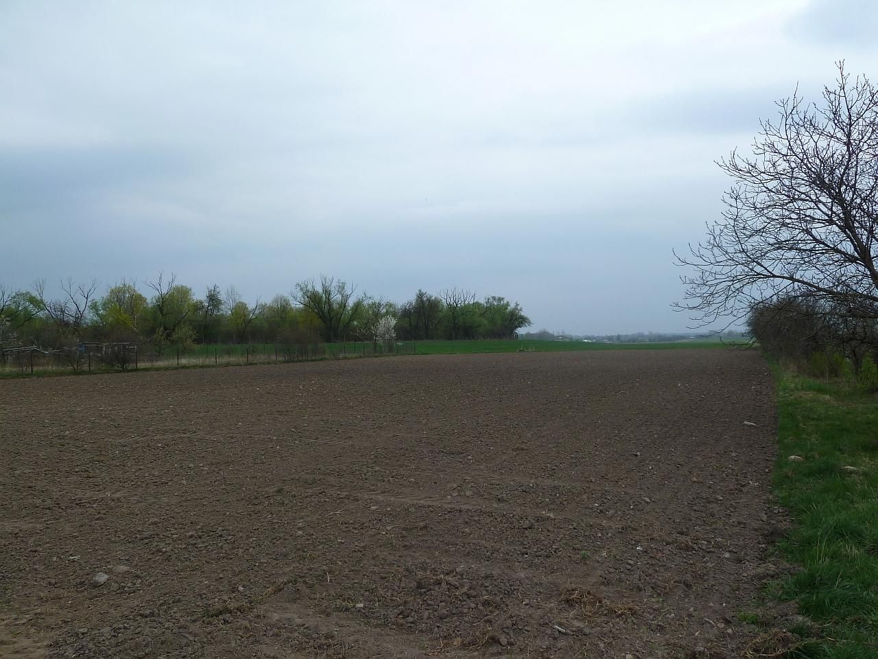 Działka rolno-budowlana Kacice. Zdjęcie 2