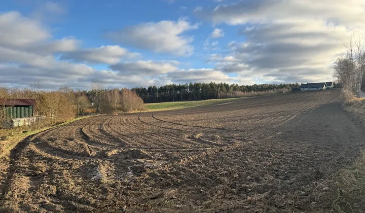 Działka budowlana Grzmiąca