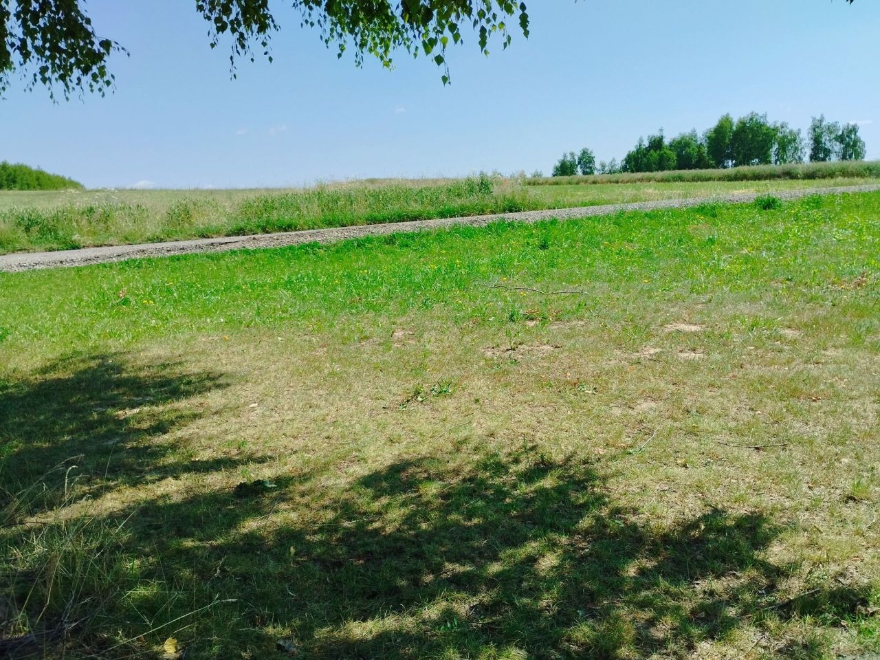 Działka rolna Bibice, ul. Leszczynowa. Zdjęcie 4