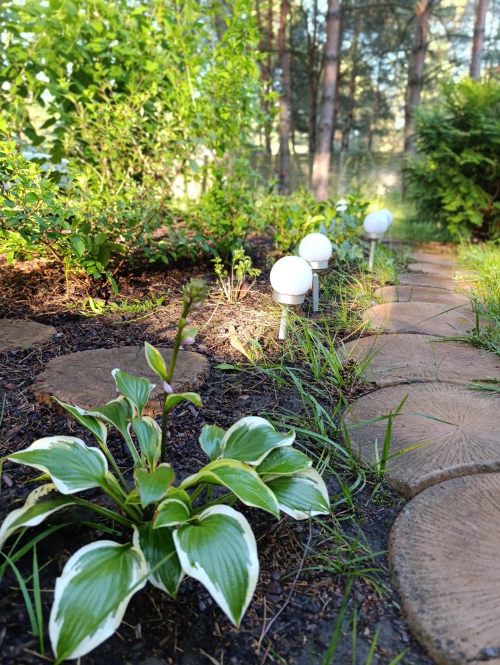 Działka rekreacyjna Kępiaste, Kępiaste. Zdjęcie 3