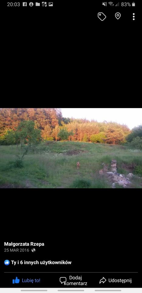 Działka budowlana Drzeńsko. Zdjęcie 2