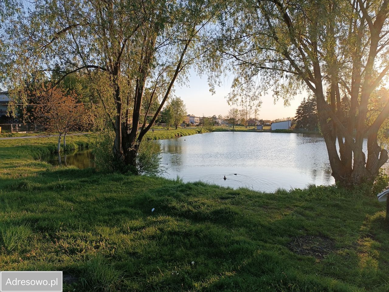 Działka rolno-budowlana Sławno. Zdjęcie 12