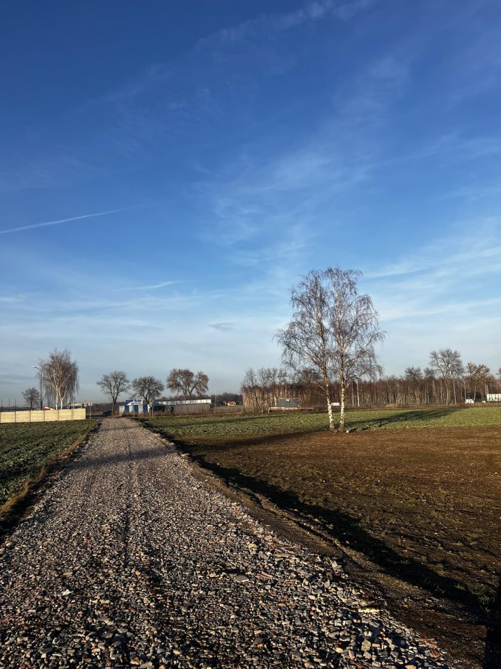 Działka inwestycyjna Kruszyn, ul. Platanowa. Zdjęcie 4